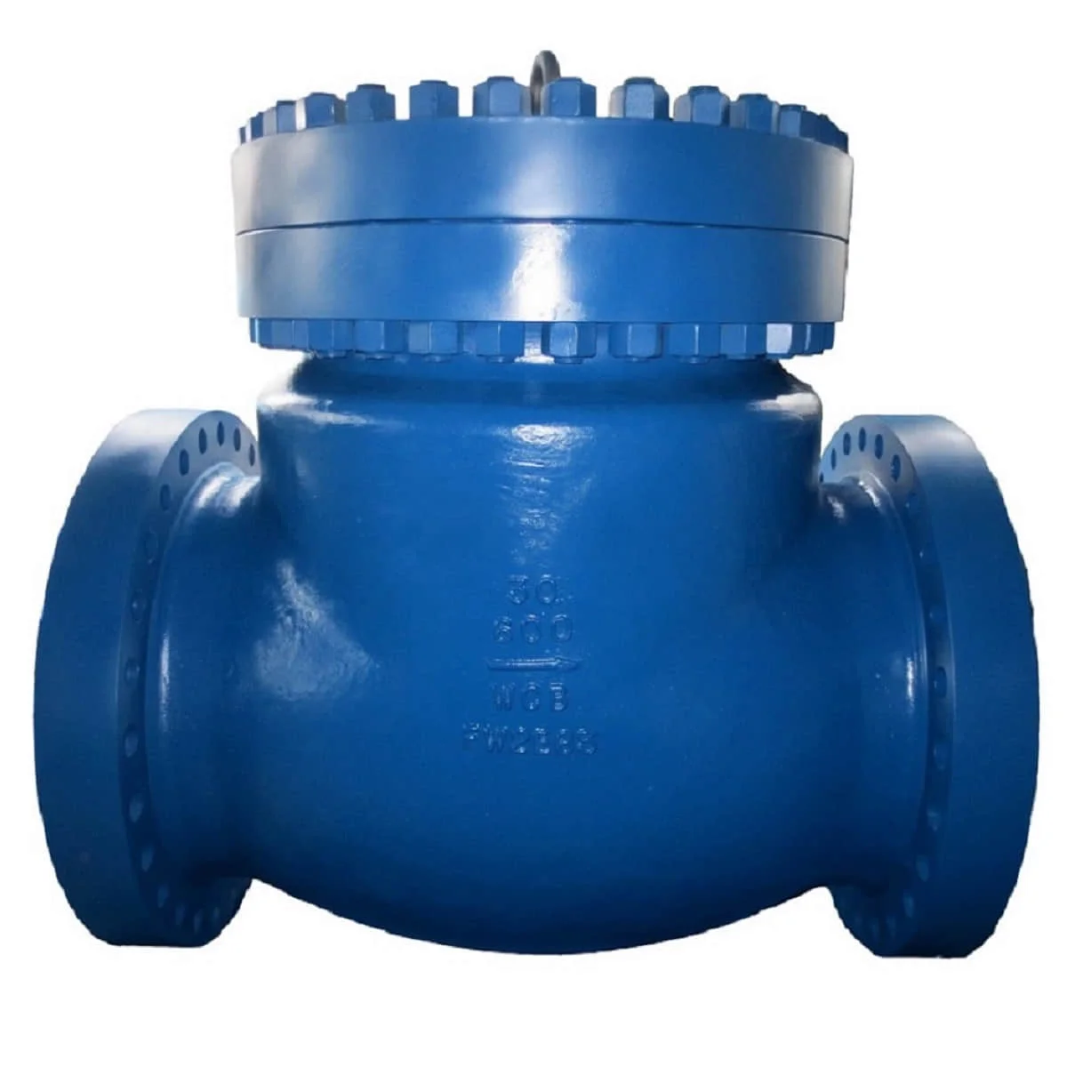 API 6D & API 594 Swing Check Valve