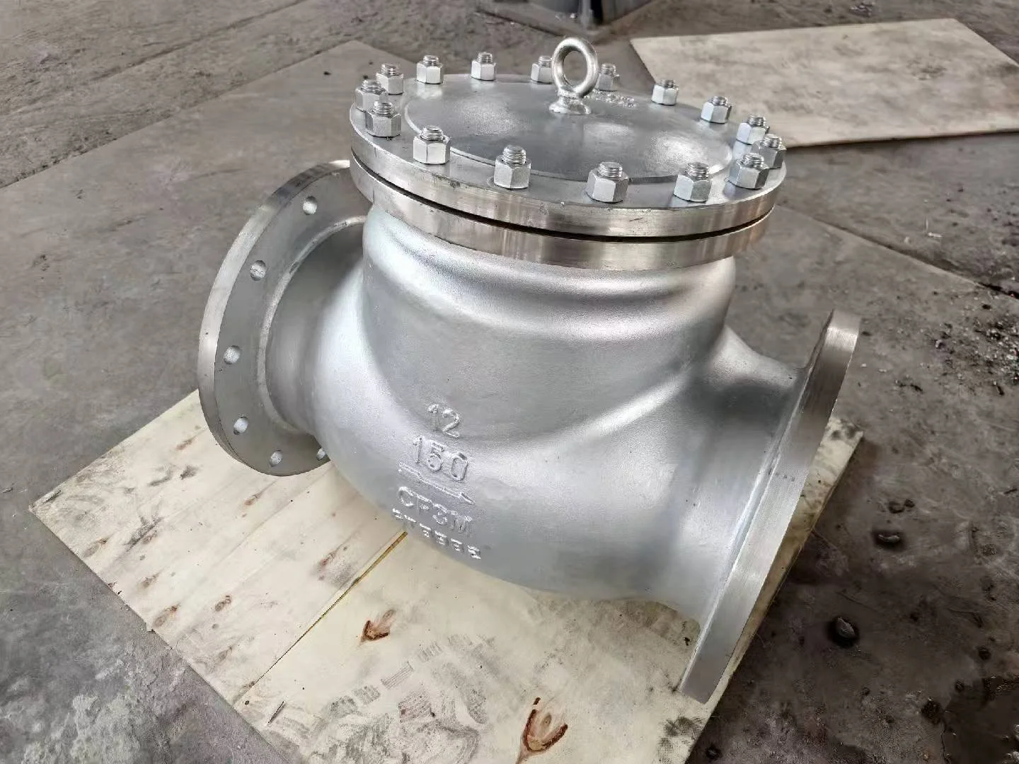 Swing check valve CF3M