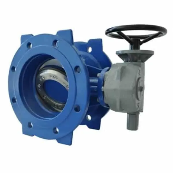 Double Offset Butterfly Valve