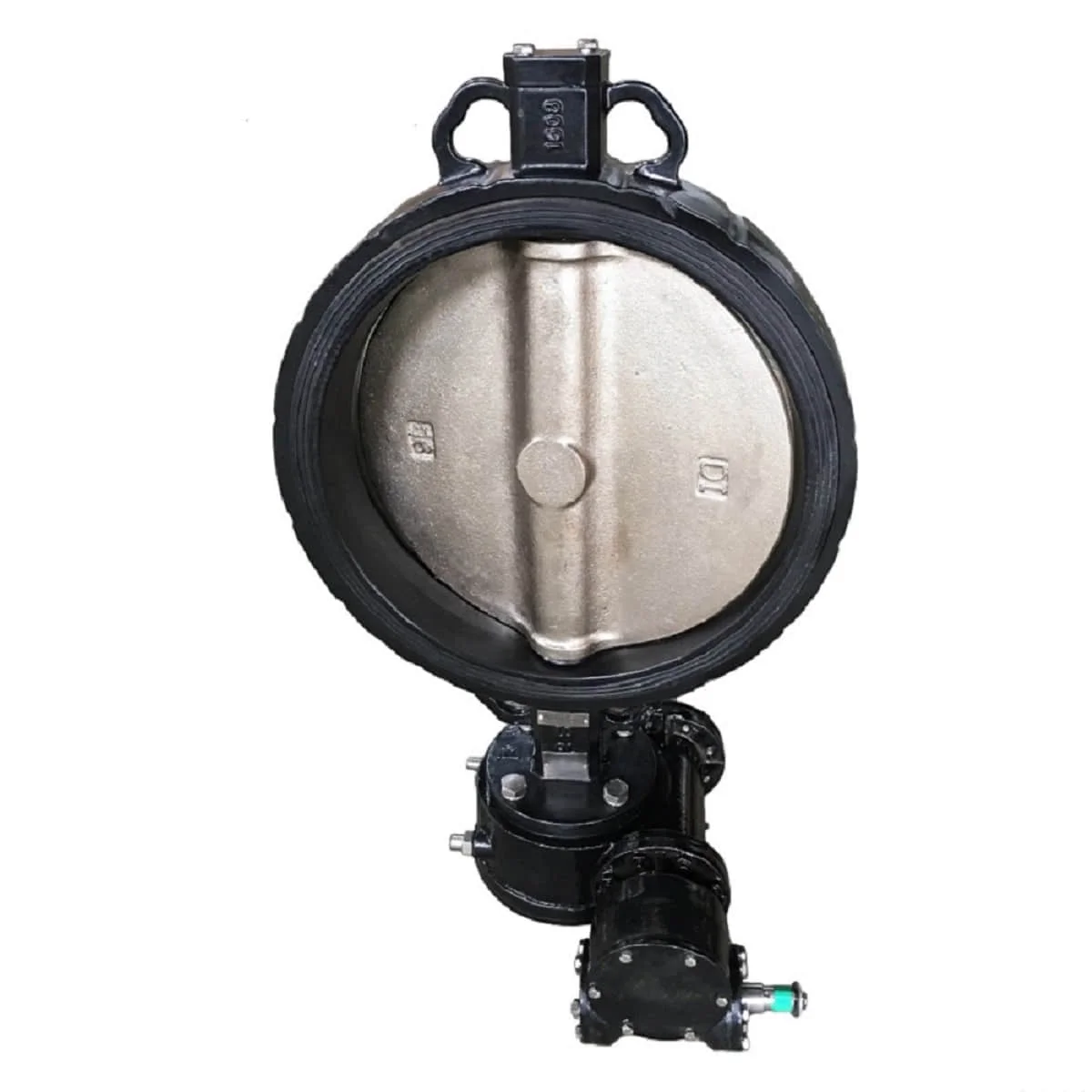 Loose Liner Butterfly Valve
