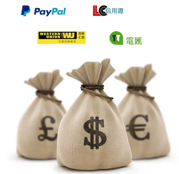 Secure payment and order process illustration