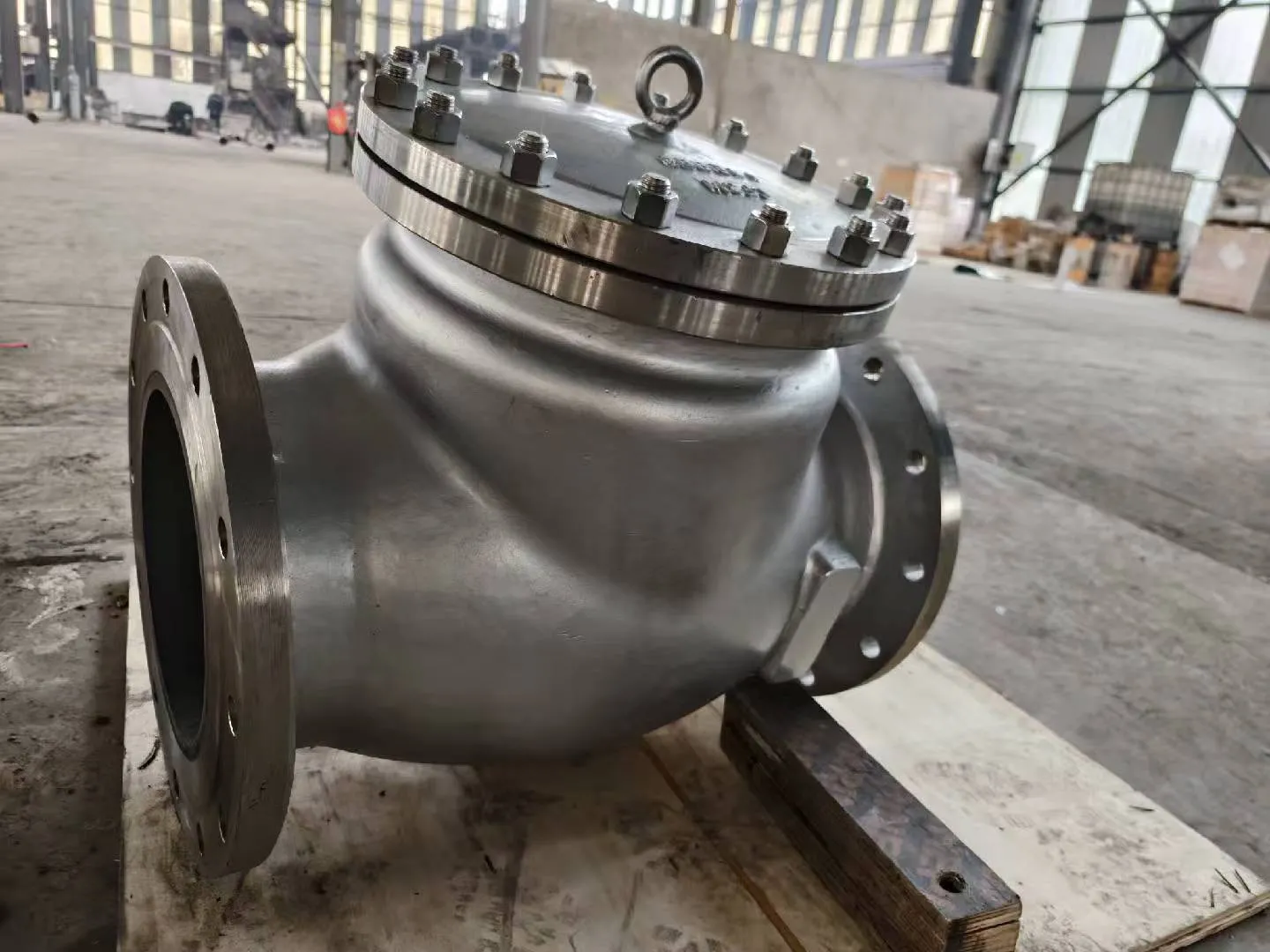 SS316 Check valve Lined SIC