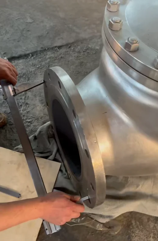 SS316 Check valve Lined SIC (Image 16)